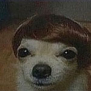 Meet your Posher, Alan